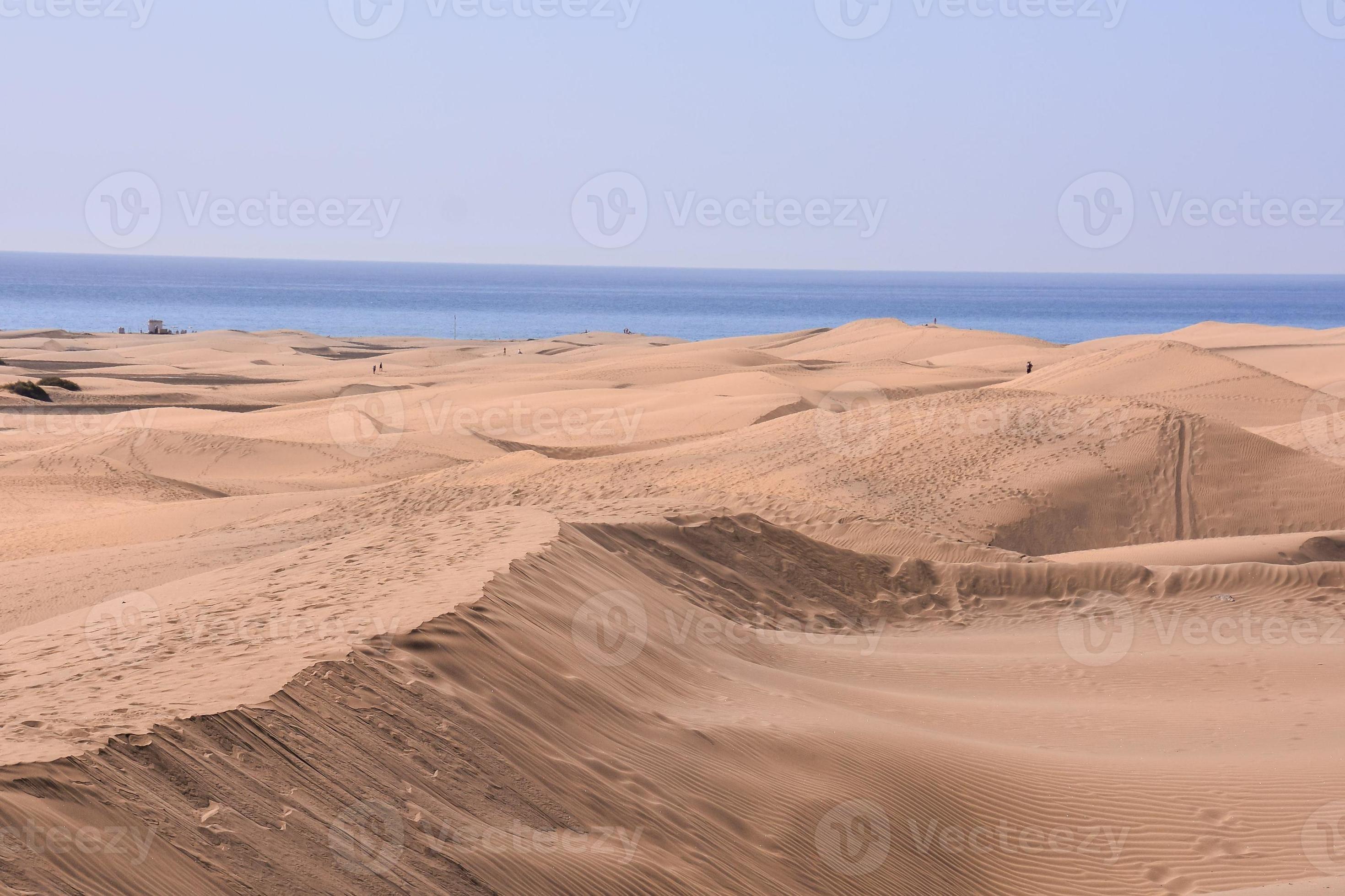 Dunes de sable : 759 501 images, photos de stock, objets 3D et images  vectorielles