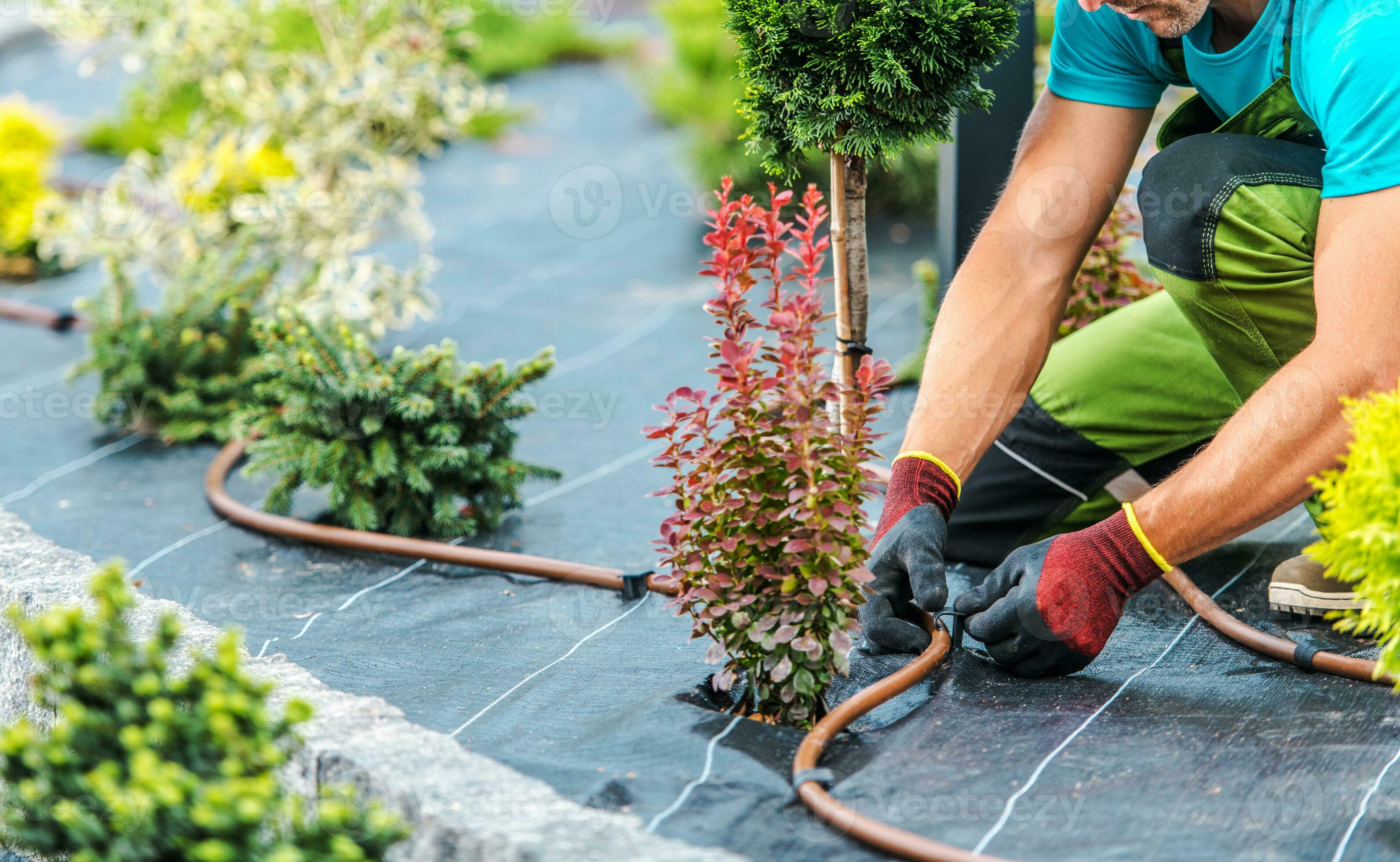 Le retour des plantes à l'intérieur