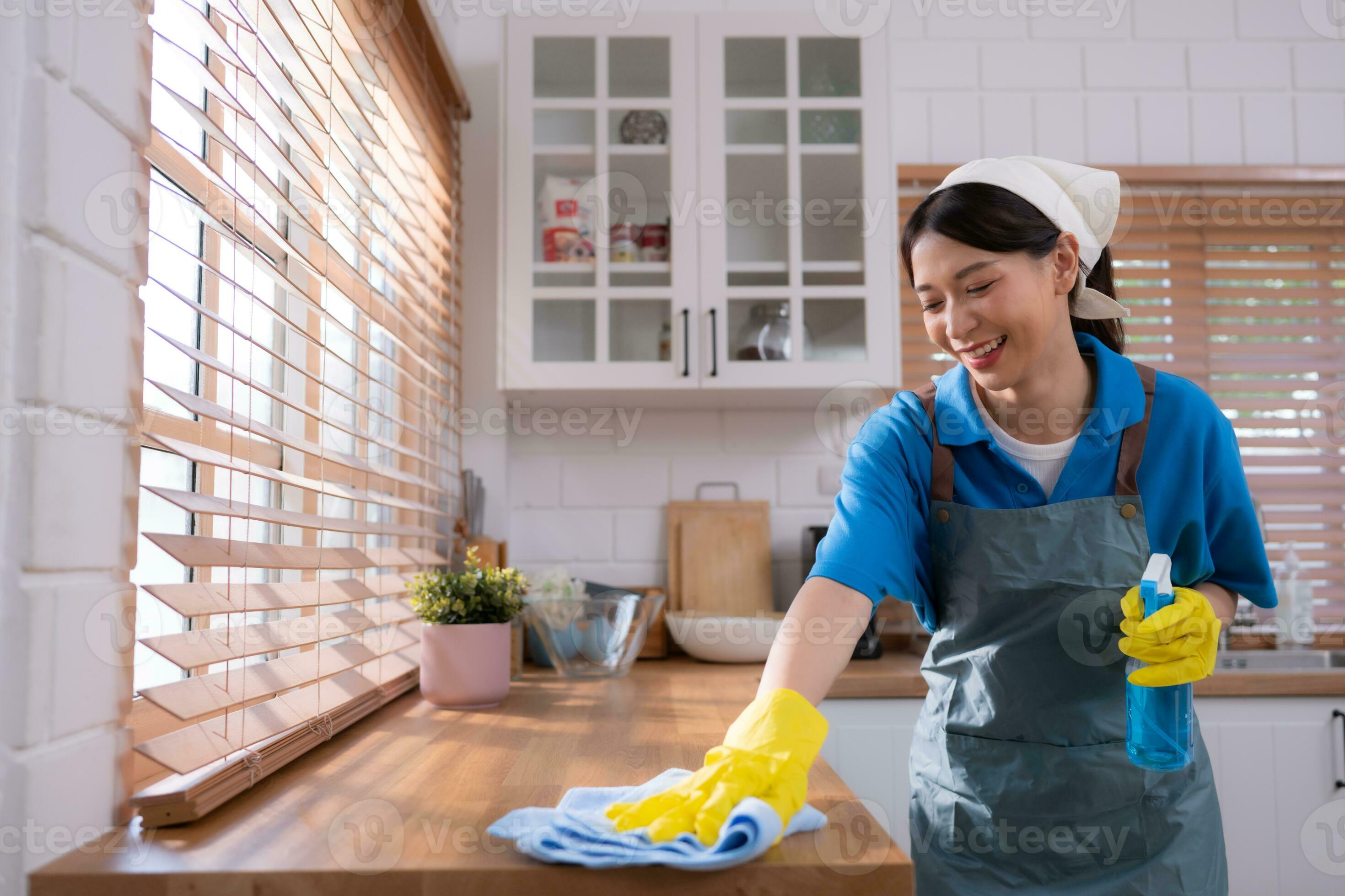 Femme Avec Le Panier Et L'équipement De Nettoyage Image stock - Image du  employé, femelle: 74155063