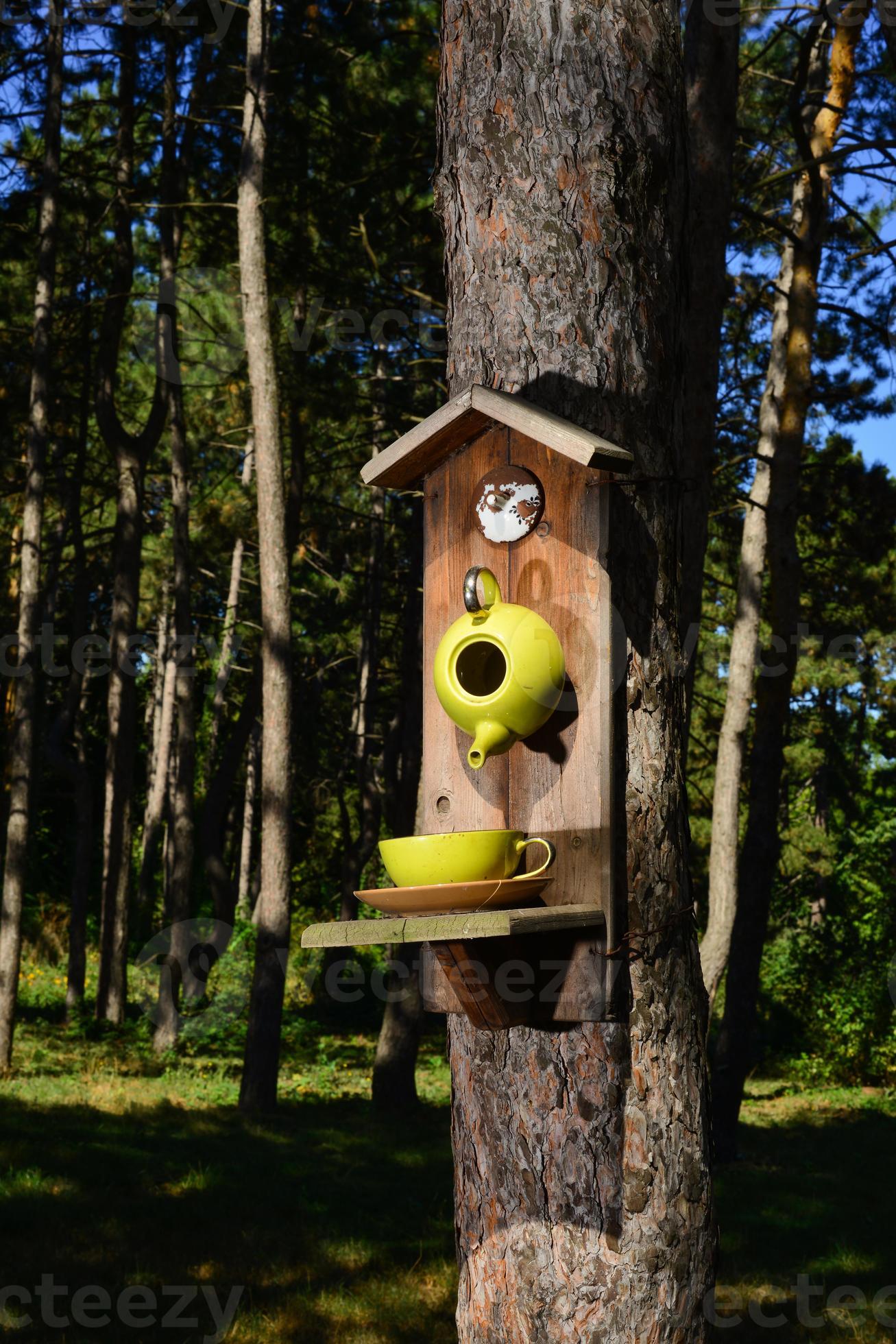 Mangeoire à Oiseaux En Bois Sur Arbre Au Printemps Parc Ou Jardin