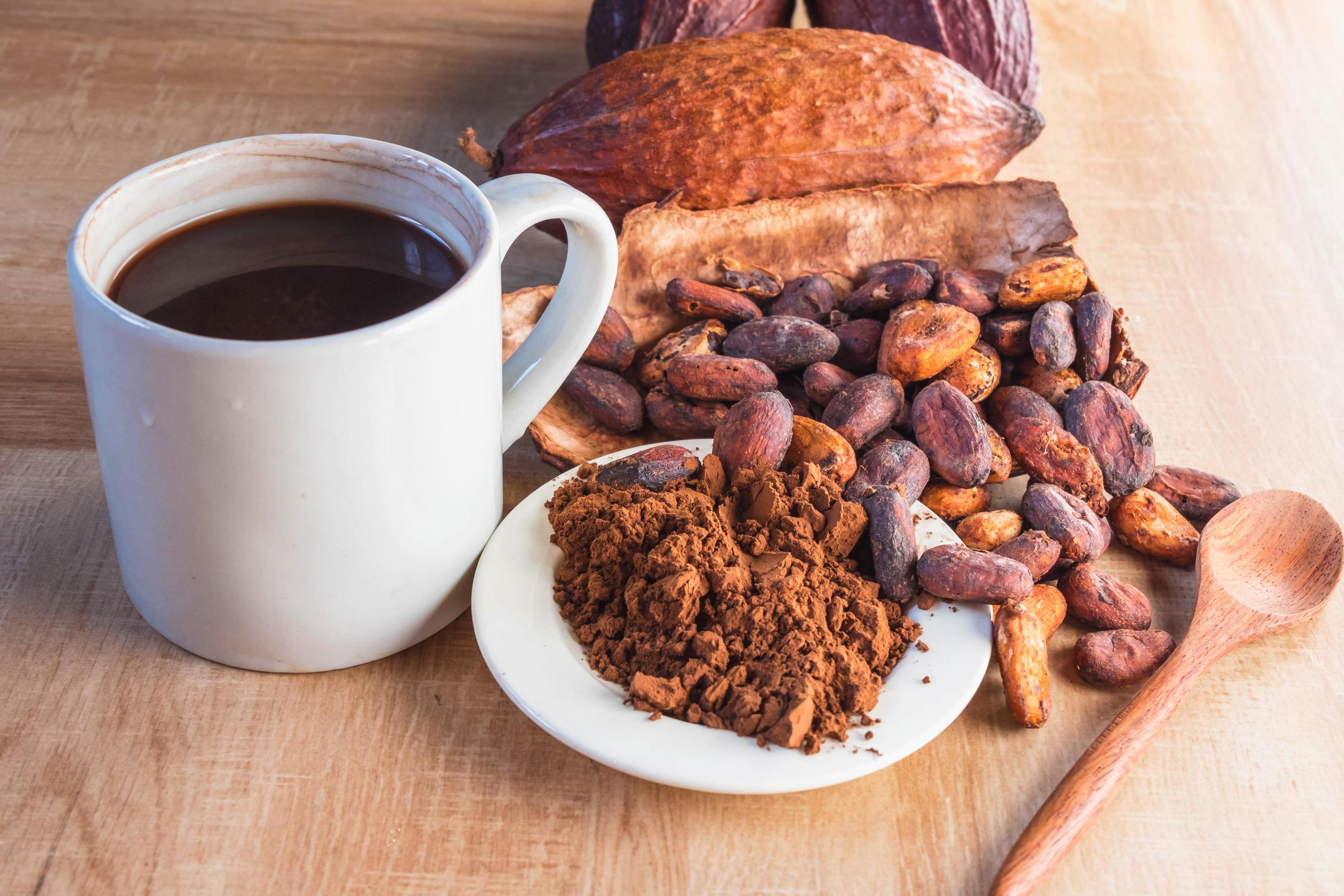 Photos Poudre Cacao Pour Boissons Chaudes, 94 000+ photos de haute qualité  gratuites