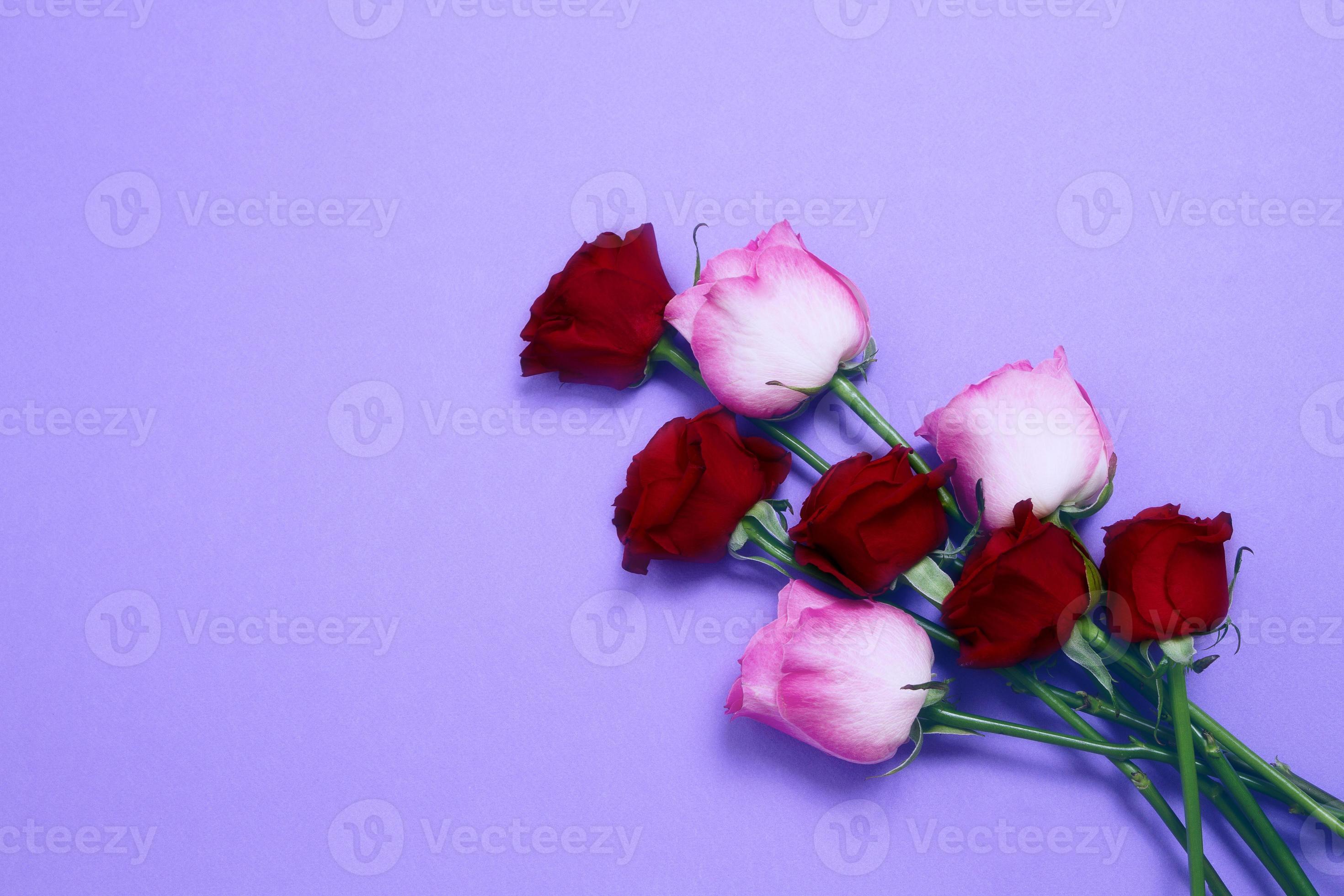 envoyer le concept en ligne de fleurs. livraison de fleurs pour la saint  valentin et la fête des mères. bouquet de roses roses rouges isolé sur fond  violet. conception de carte postale