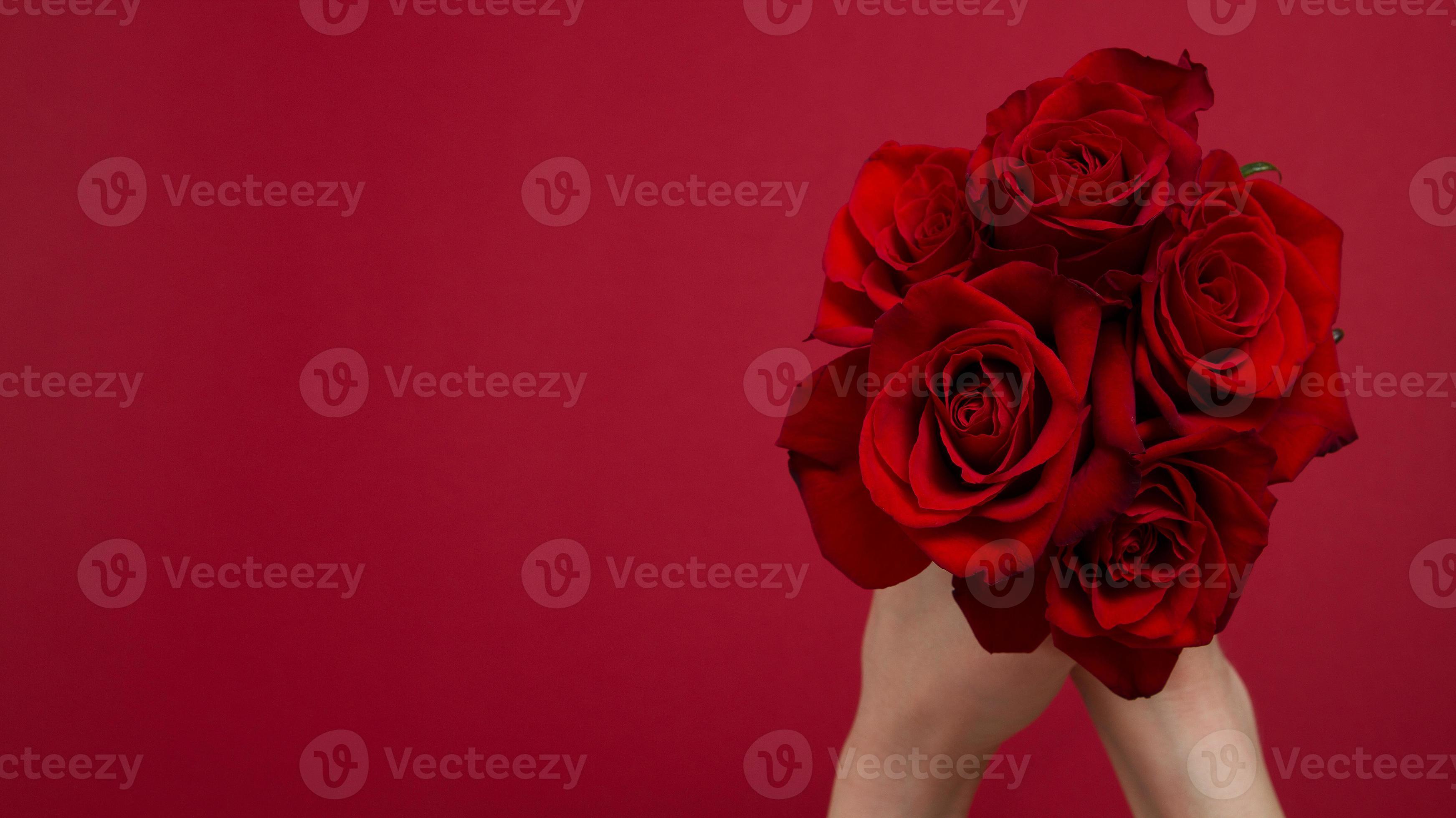 envoyer le concept en ligne de fleurs. livraison de fleurs pour la saint  valentin, fête des mères. bouquet de roses rouges isolé sur fond rouge.  conception de carte postale belle nature rose.