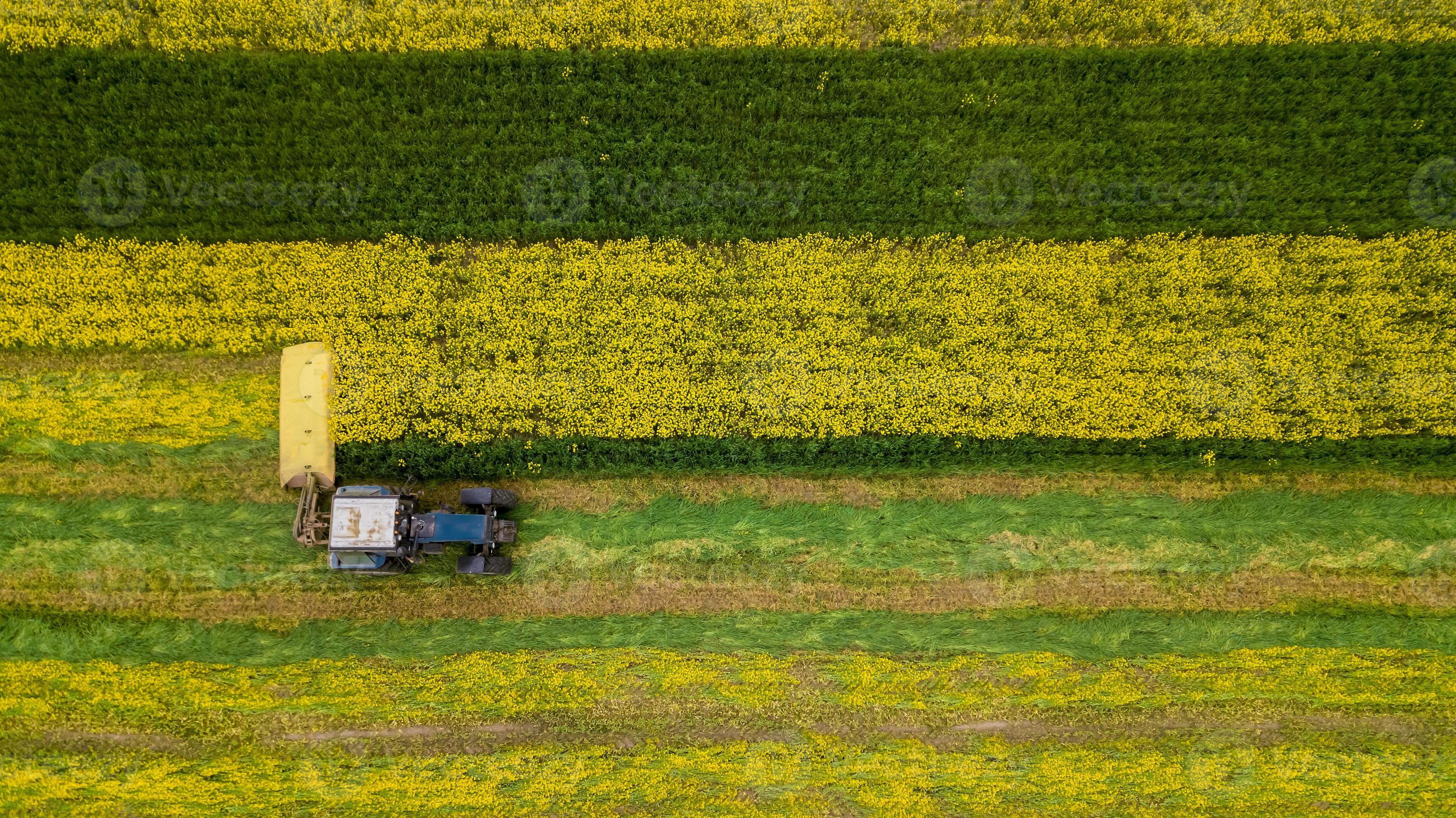 un agriculteur fauchant de l'herbe à l'aide d'un tracteur avec une tondeuse rotative. photo