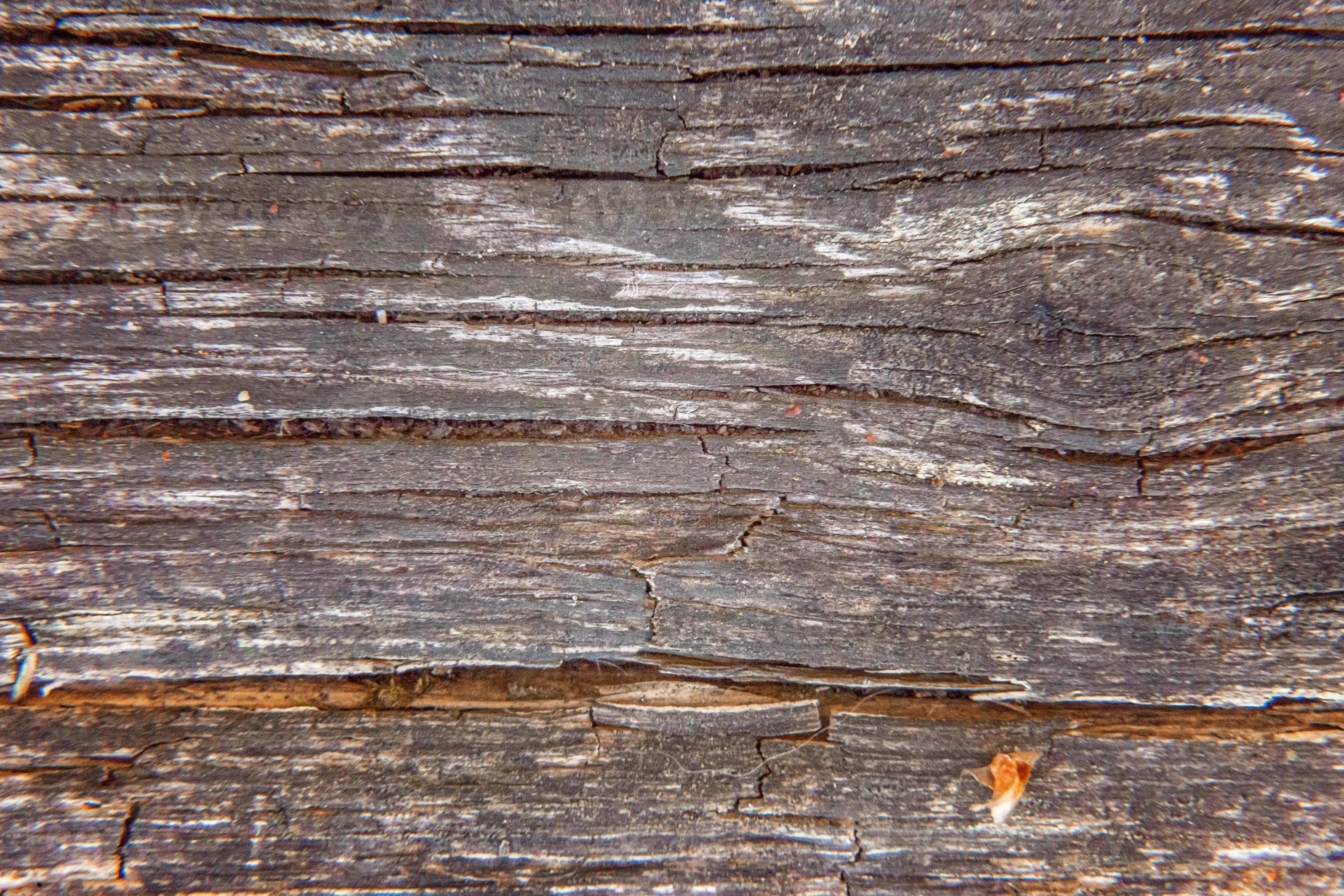 zebra oogst Heup texture de bureau en bois vintage éco rustique simple. gros plan du mur  fait de planches de bois. vue de dessus, mise à plat, espace de copie,  maquette. 6204847 Banque de photos