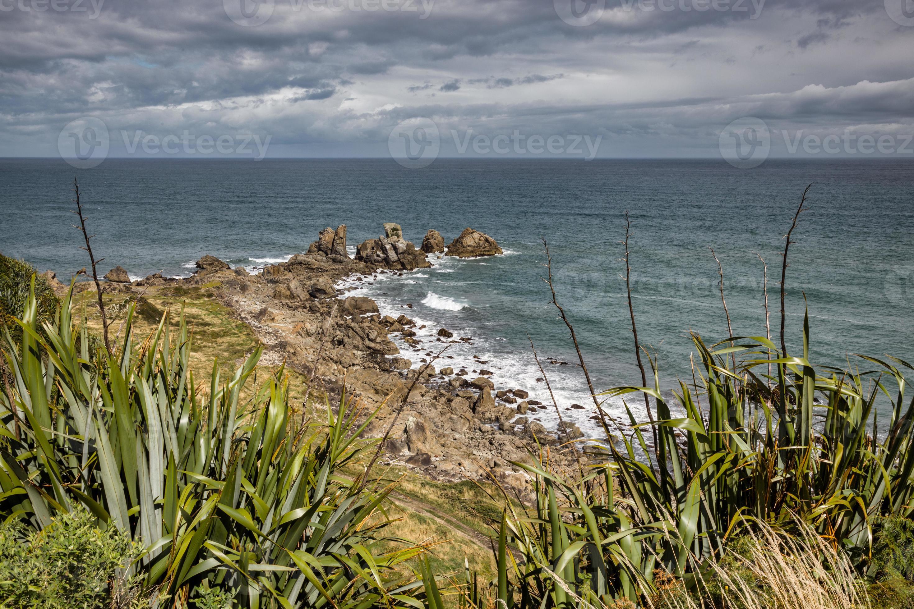 littoral près du cap foulwind en nouvelle-zélande photo