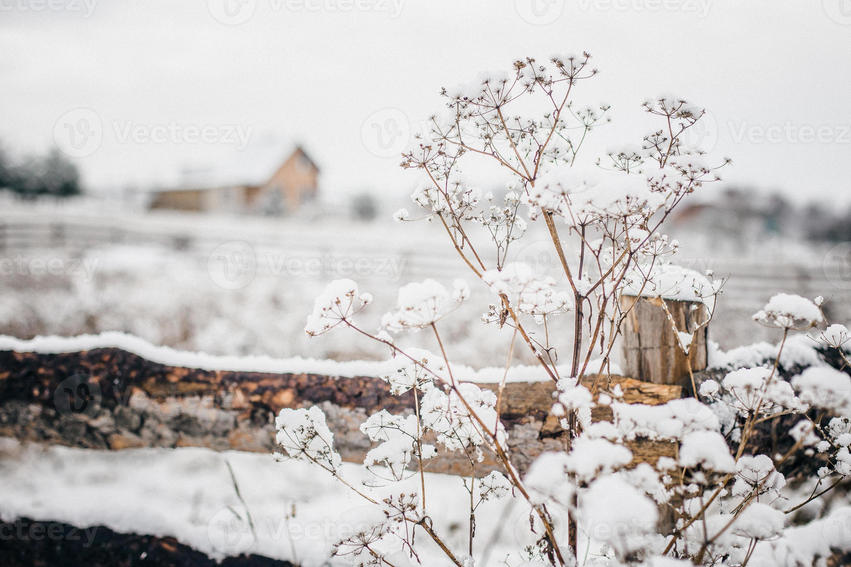 l'hiver dans un village photo