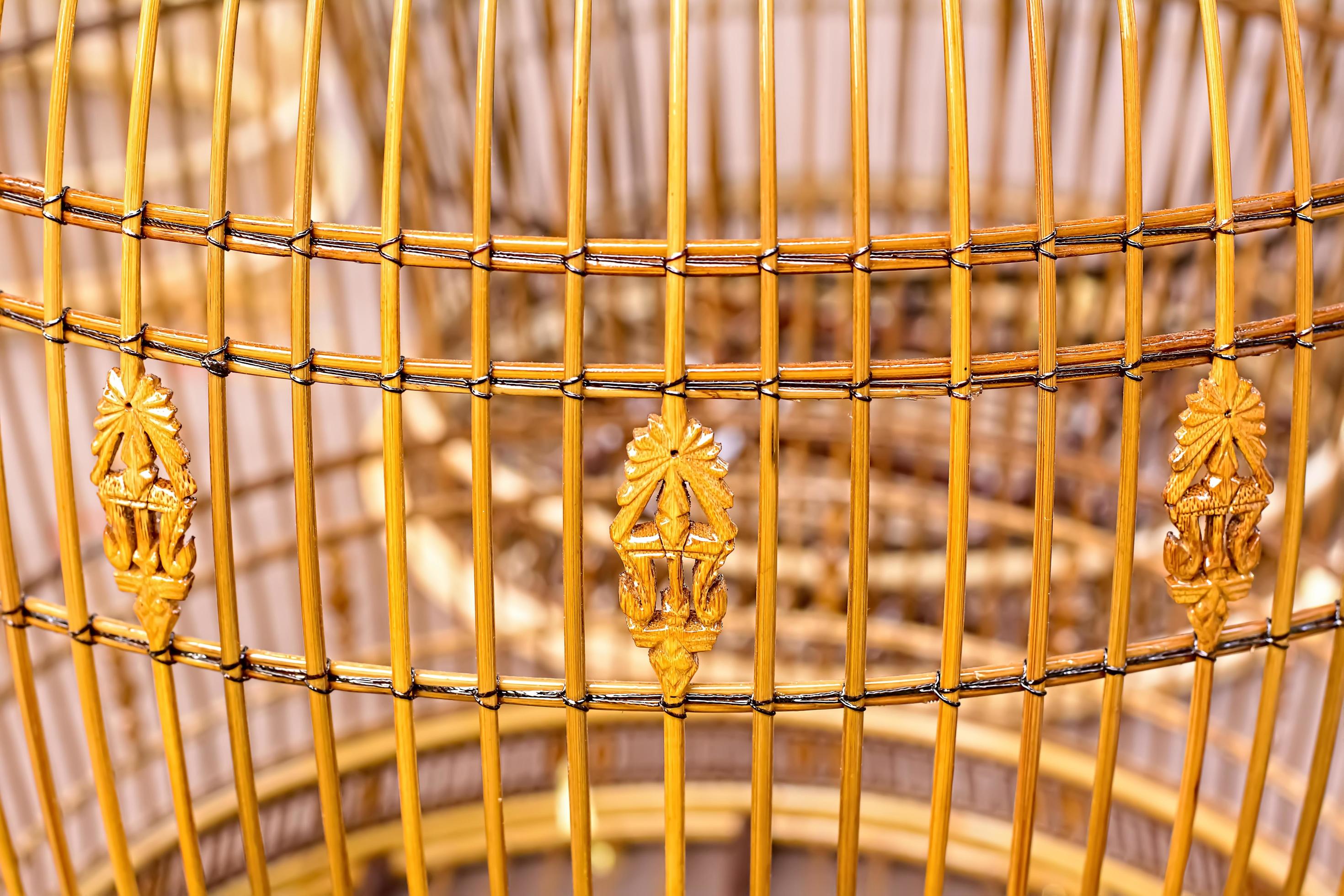 cages à oiseaux décoratives avec fleurs à l'extérieur, décoration de jardin  et de rue 9996801 Photo de stock chez Vecteezy