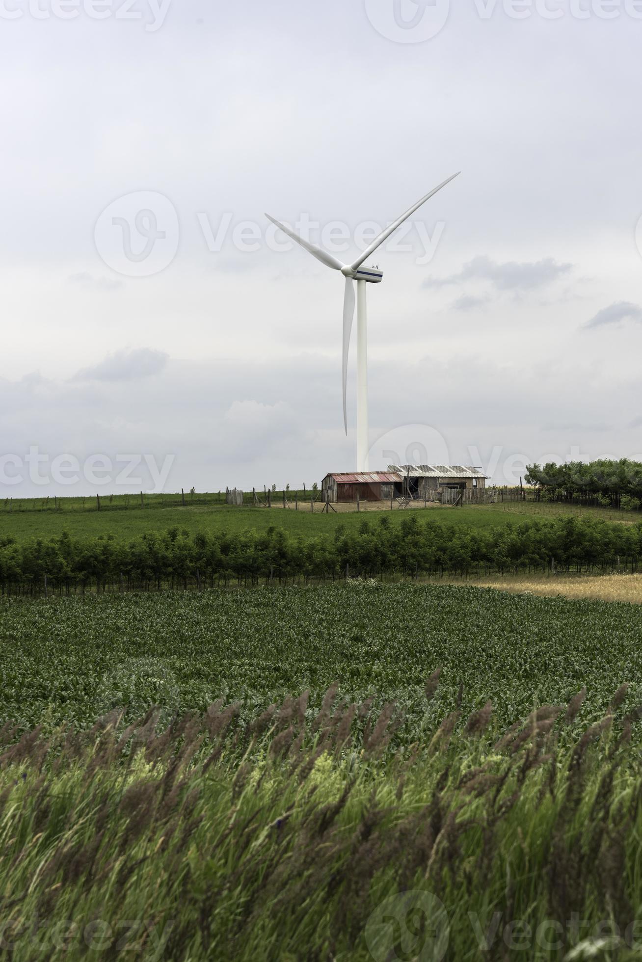 éoliennes dans le champ de blé et de maïs photo