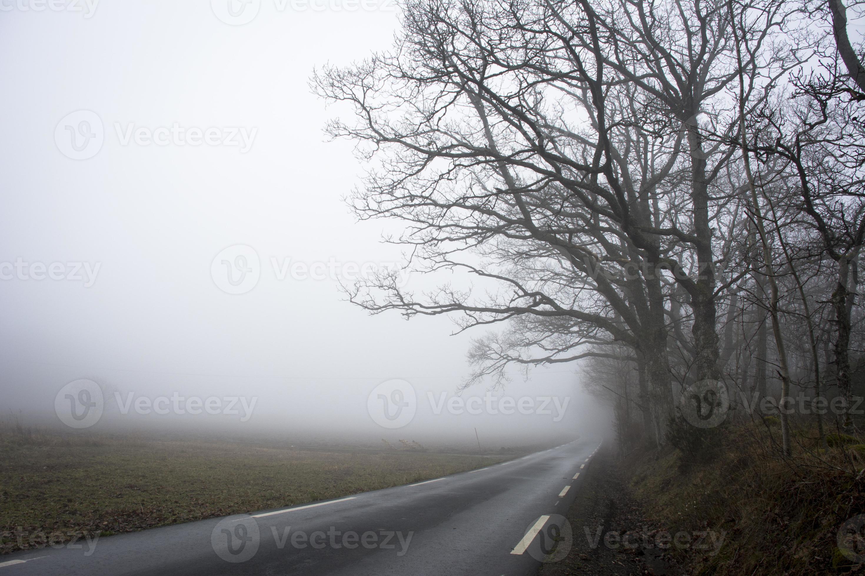 route dans le paysage avec brouillard photo
