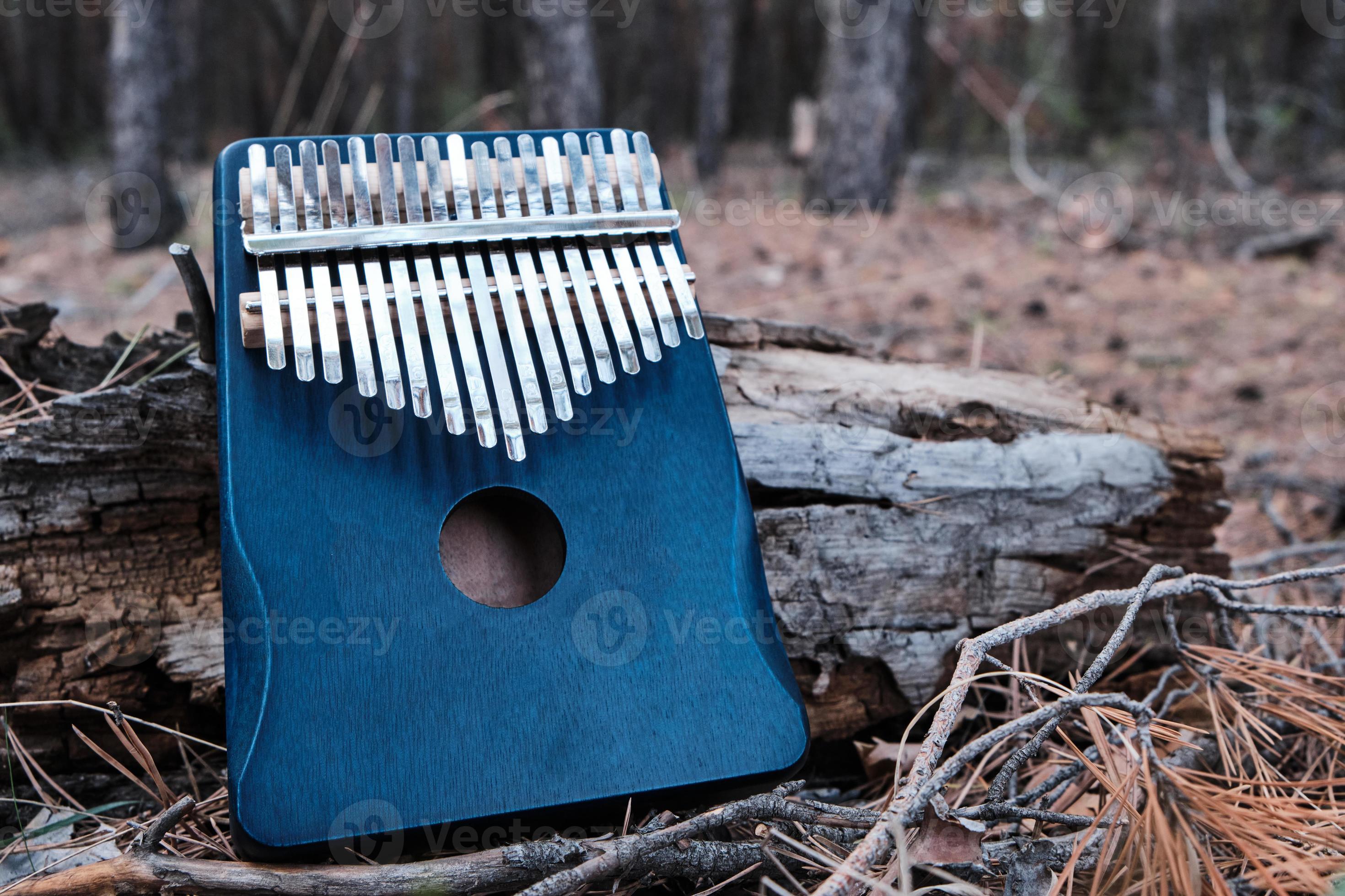 kalimba est un instrument de musique africain en forêt près d'un arbre.  8133423 Photo de stock chez Vecteezy