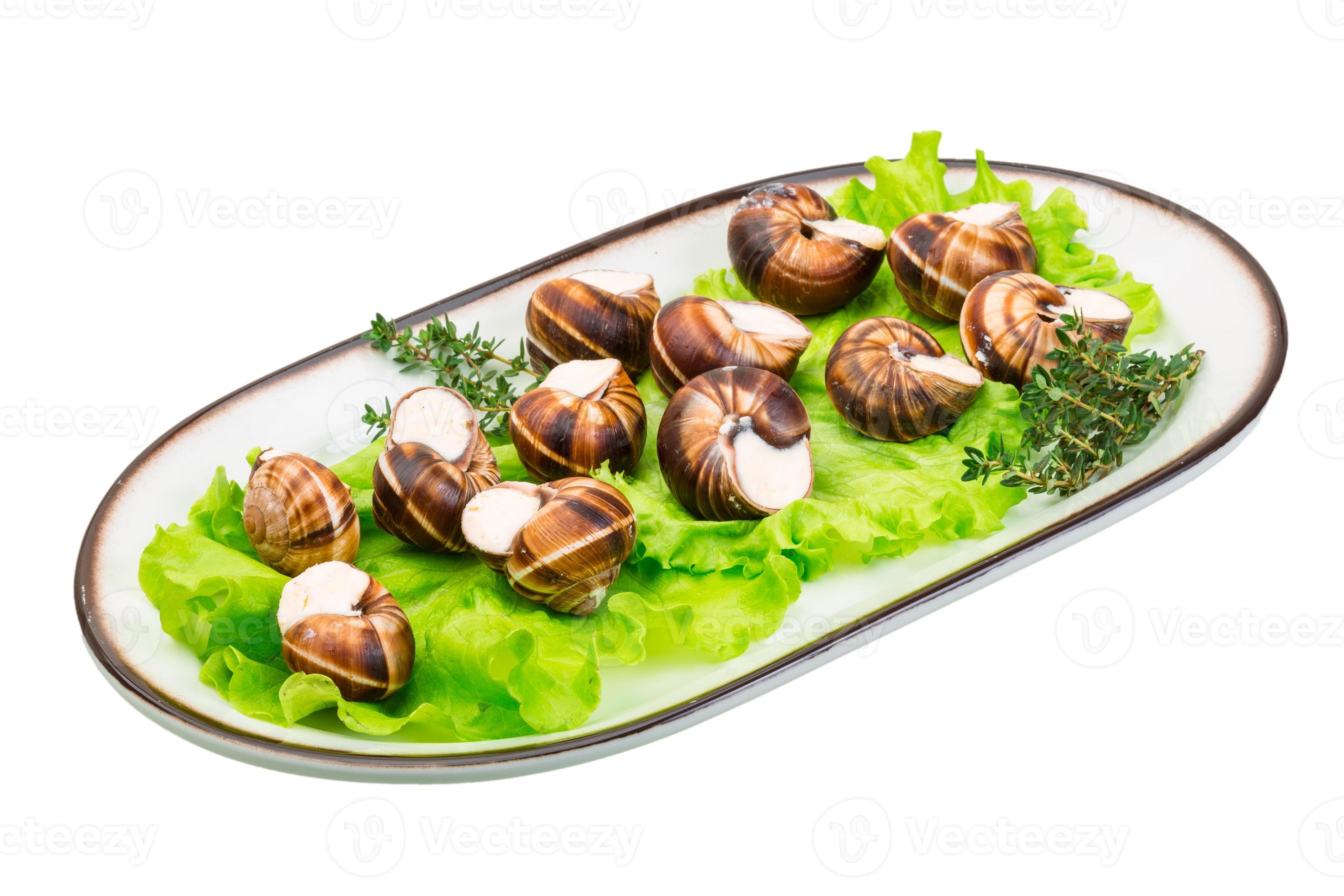 escargots escargots sur une assiette avec de la laitue 8444624