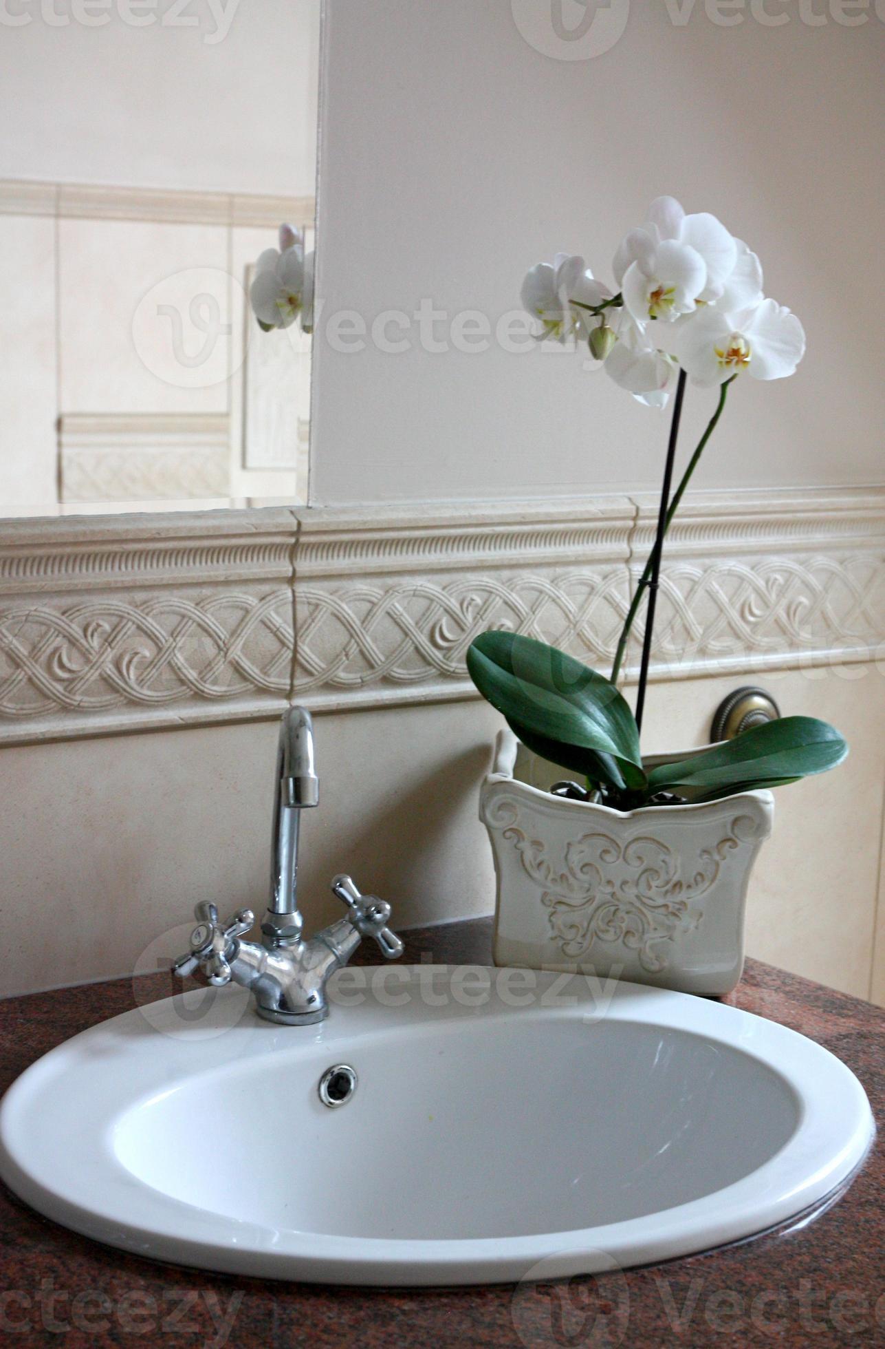 orchidée dans la salle de bain photo