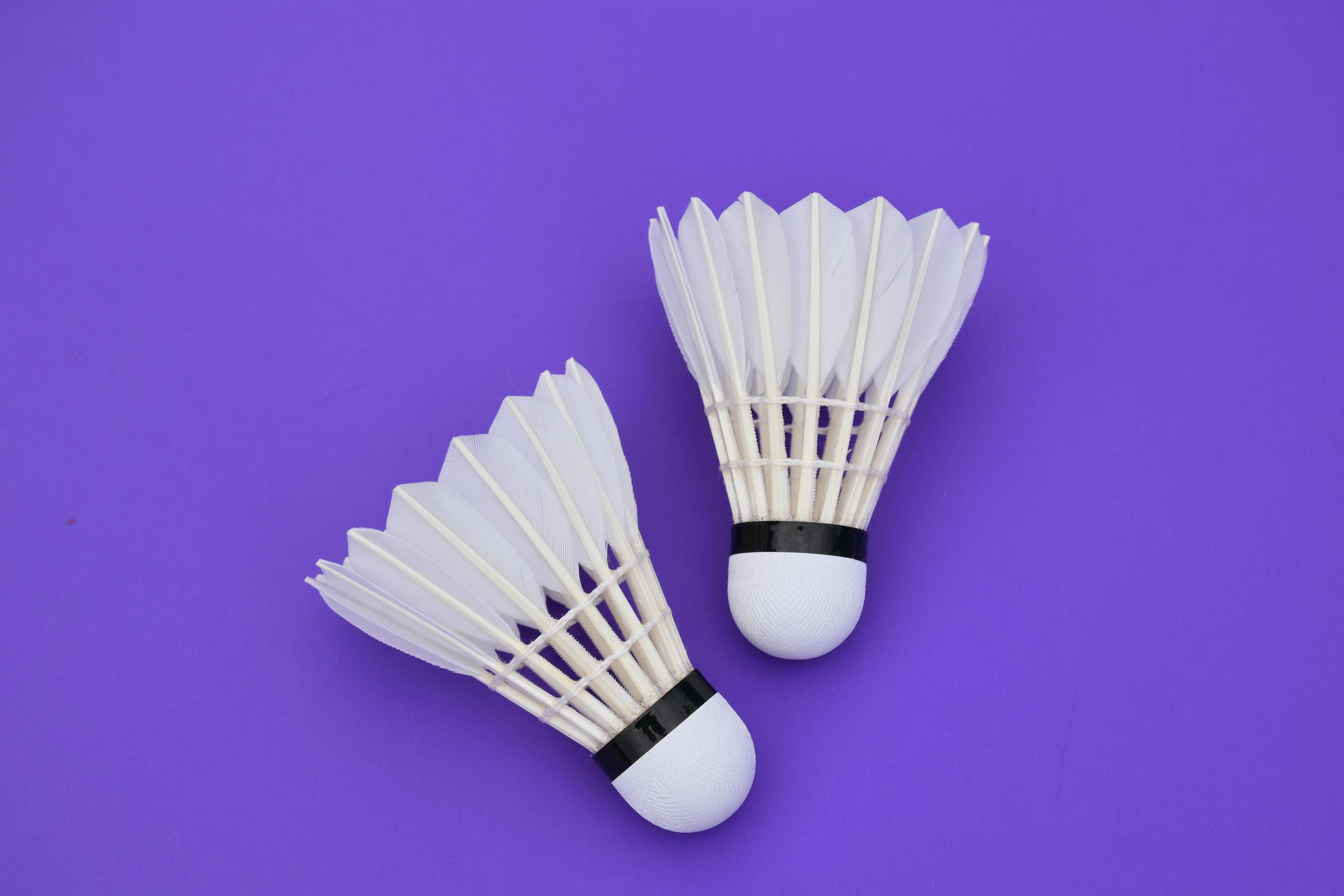 plume de volant de badminton crème blanche isolée, pour le sport de  badminton. 8925788 Photo de stock chez Vecteezy