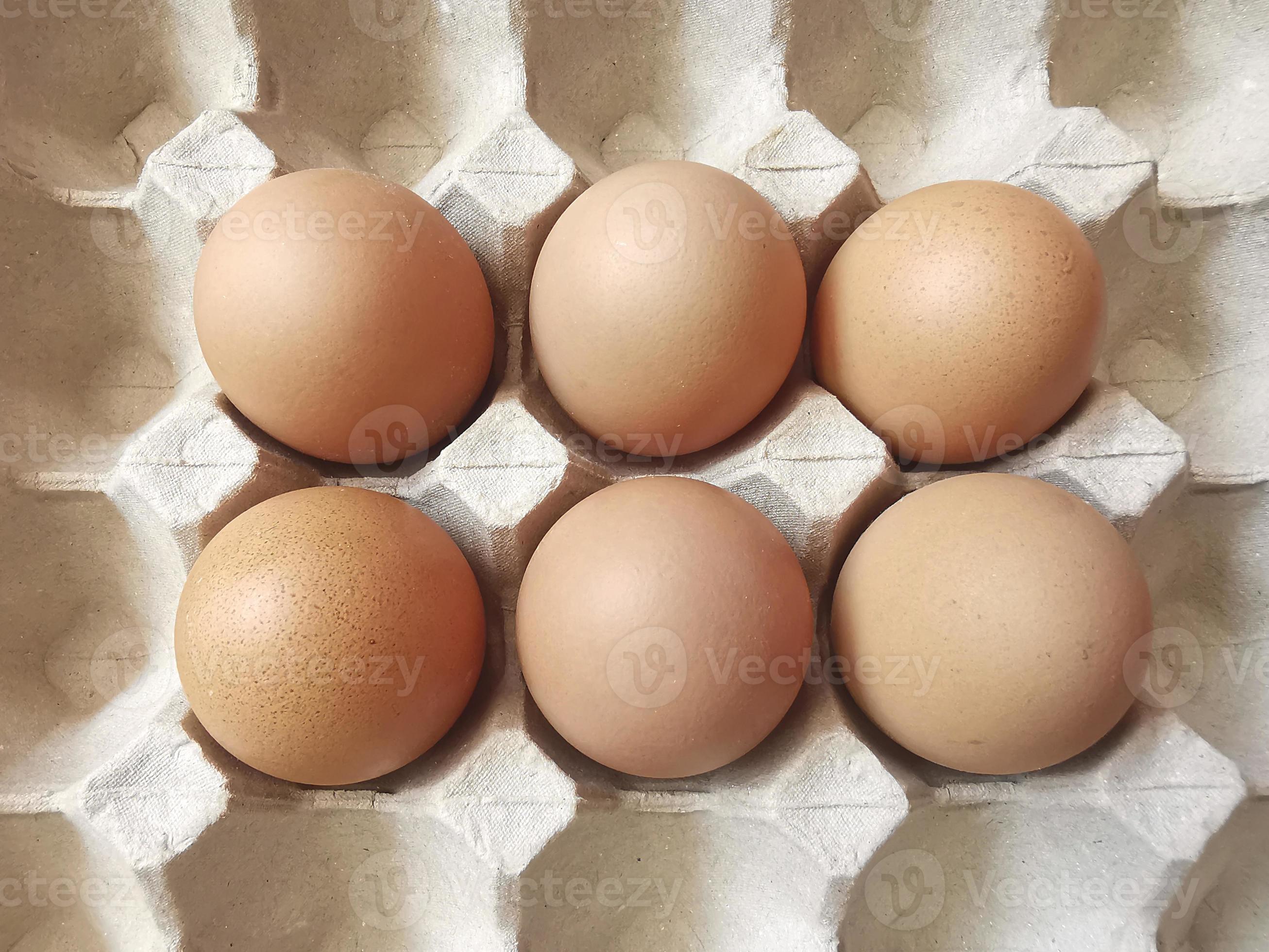 oeufs frais dans la stalle d'oeufs. plateau à œufs ou panneau à œufs  9050439 Photo de stock chez Vecteezy