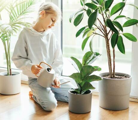 peu fille arrosage plantes d'intérieur dans sa maison 24024449 Photo de  stock chez Vecteezy