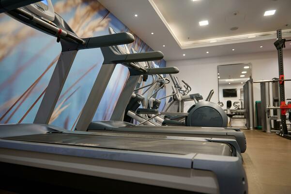 Fond Machines De Course Ou Tapis Roulants En Rendu 3d Dans Une Salle De  Fitness Fond, Intérieur De La Salle De Sport, Gymnase, Sol Du Gymnase Image  de Fond Pour le Téléchargement