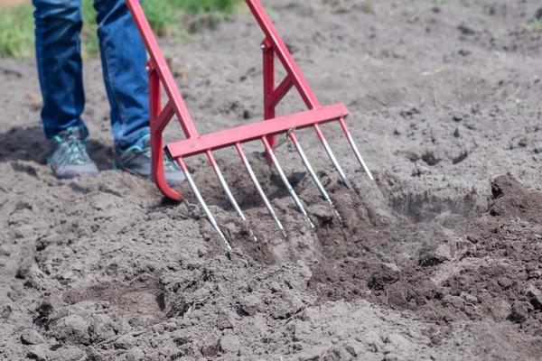 Outil de pose de pelle manuelle de jardin agricole professionnelle