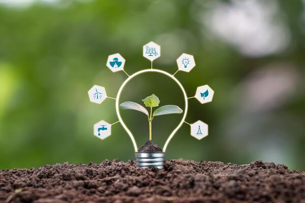 arbres plantés dans des lampes à économie d'énergie par des mains humaines.  concepts alternatifs d'énergie verte et durable 9375827 Photo de stock chez  Vecteezy