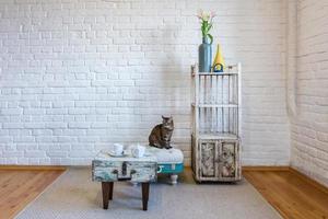 table, chaises, étagères sur le fond d'un mur de briques blanches à l'intérieur d'un loft vintage avec chat photo