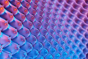 Illustration 3d de la surface d'onde géométrique bleue et rose. modèle de formes géométriques simples photo