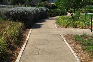 route pour se promener dans le parc de la ville. photo