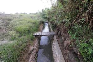 pont sur une rivière en israël. photo