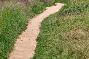 route pour se promener dans le parc de la ville. photo