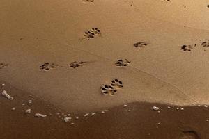 empreintes de pas dans le sable sur la plage de la ville. photo