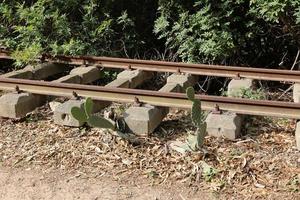 ancien chemin de fer en israël. photo