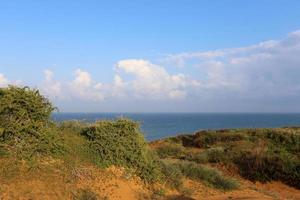 paysage naturel dans le nord d'israël. photo