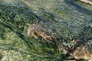 la couleur de l'eau de mer en eau peu profonde. photo