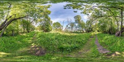 panorama hdri sphérique complet et harmonieux vue à 360 degrés sur les pistes cyclables et piétonnes parmi les buissons de la forêt en projection équirectangulaire, contenu de réalité virtuelle vr ar prêt photo