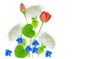 fleurs lumineuses et colorées photo