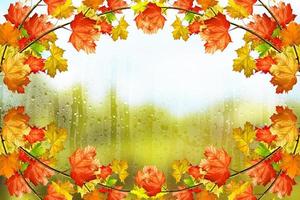 paysage d'automne. belles feuilles d'automne. automne doré. photo