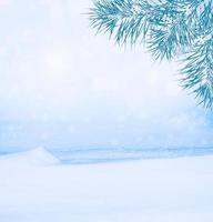 forêt d'hiver gelée avec des arbres couverts de neige. photo