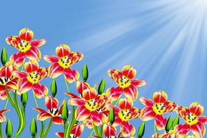 fleurs tulipes sur fond de ciel bleu avec des nuages. photo