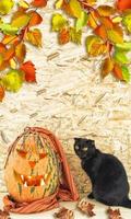 carte halloween. chat noir et citrouille orange. photo
