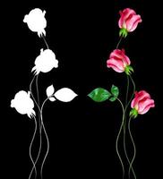 Boutons floraux de roses isolés sur fond noir photo