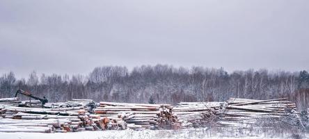 paysage. pile de bois de chauffage sur la neige d'hiver dans la forêt. photo