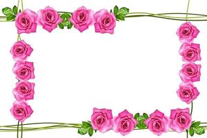 les bourgeons de fleurs roses. carte de vacances photo