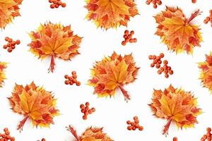 feuilles d'automne aux couleurs vives photo