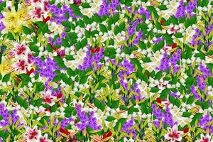 fleurs printanières colorées photo