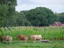 le petit village weseke en westphalie photo