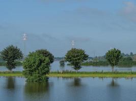 le rhin près de bislich photo