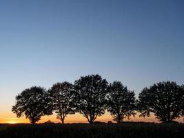 coucher du soleil dans le muensterland allemand photo