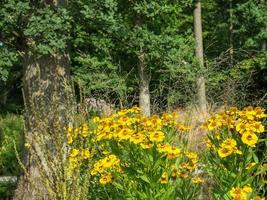 l'heure d'été dans un parc allemand photo