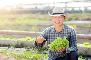 jeune agriculteur asiatique tenant et montrant de la laitue de chêne vert biologique fraîche et un geste pointant dans la ferme, produire et cultiver pour récolter des légumes agricoles avec des affaires, concept d'aliments sains. photo