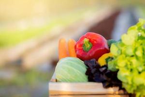 légumes et fruits crus biologiques frais dans un panier pour salade dans une ferme hydroponique, aliments végétariens et sains ou ingrédient et herbe pour cuisiner la santé avec espace de copie, récolte pour la ferme. photo
