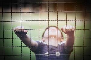 portrait sombre d'un garçon debout derrière et tenant un écran en acier ou une clôture à mailles losangées - enfant triste stressé sans concept de liberté photo